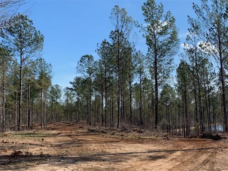 Old Pike Road Large Tract with Pond : Fitzpatrick : Montgomery County : Alabama