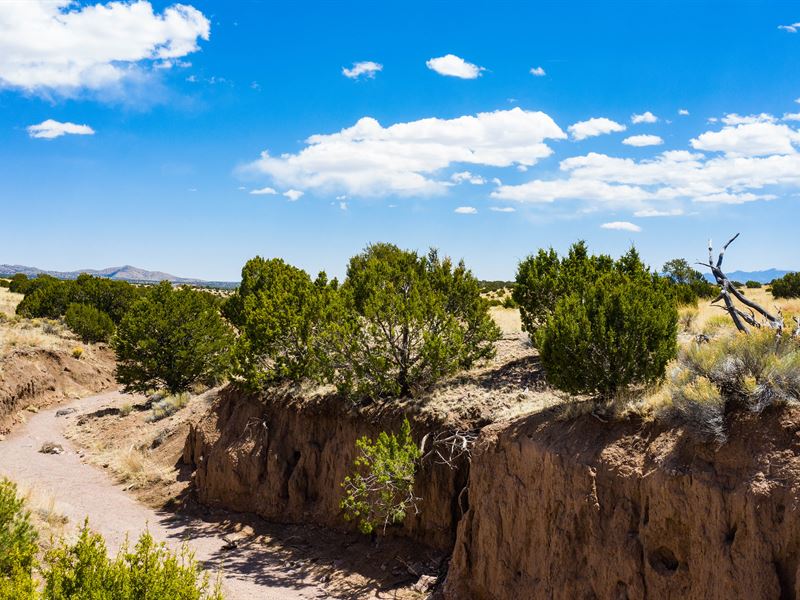 Enjoy Scenic Peace : Magdalena : Socorro County : New Mexico