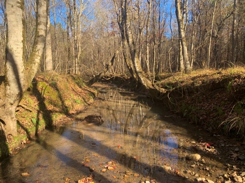 Reduced, Pond, Creek, & Old Tim : Monticello : Jasper County : Georgia