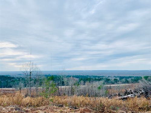 georgia timber land for sale
