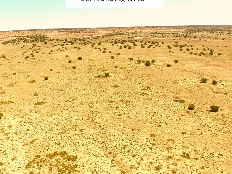 10 Acres Only $1Dn, $199/Mo : Saint Johns : Apache County : Arizona