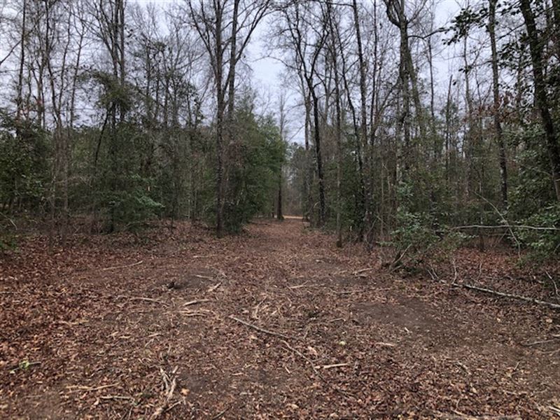 Land Tract in Twiggs County : Gordon : Twiggs County : Georgia