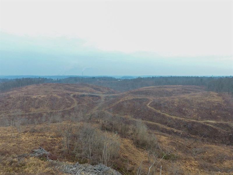 Bunce Rd, 47 Acres, Gallia County : Gallipolis : Gallia County : Ohio