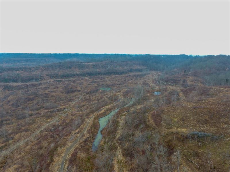Clay Chapel, 65 Acres, Gallia Cou : Crown City : Gallia County : Ohio