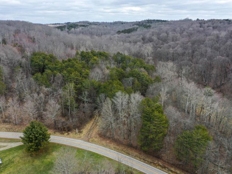 Harble Griffith Rd, 162 Acres, Ho : Logan : Hocking County : Ohio