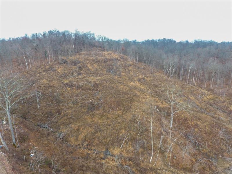 Williams Hollow, 46 Acres, Gallia : Crown City : Gallia County : Ohio