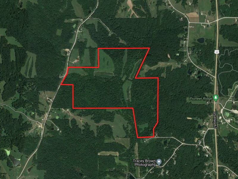 Turn-Key Recreational Land for Sale : Bloomfield : Wapello County : Iowa