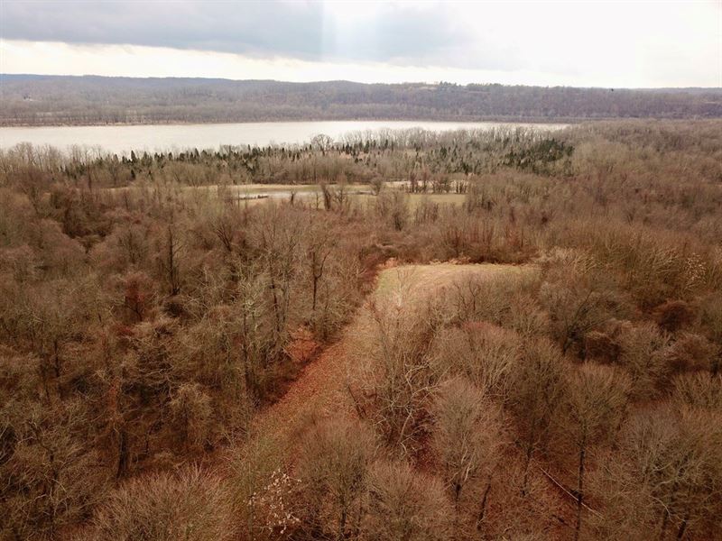 Hunting, Recreation, Homesite Land : Cannelton : Perry County : Indiana