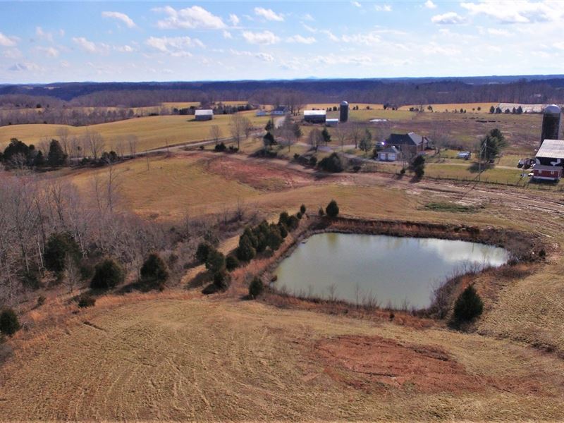 Cattle/Horse Farm, Ponds, Pasture : Liberty : Casey County : Kentucky