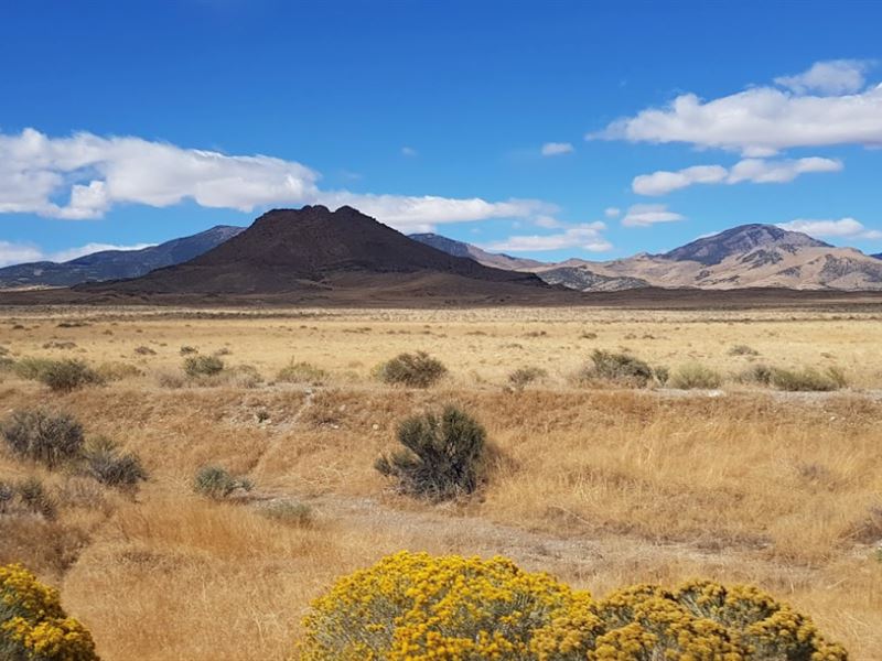 Recreational Hunting Land Elko : Wells : Elko County : Nevada