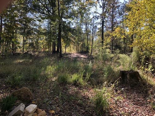 80 + Acres for Sale : Macon : Twiggs County : Georgia