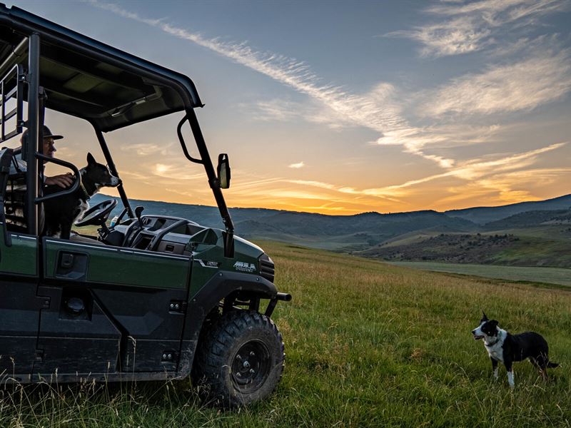 Tailwater Ranch : Cimarron : Montrose County : Colorado