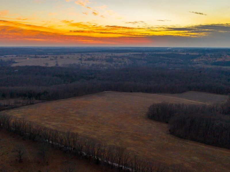 110 Acre Prime Hunting Property : Stockton : Cedar County : Missouri