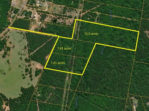 East Texas Land Hunting Land : Longview : Gregg County : Texas