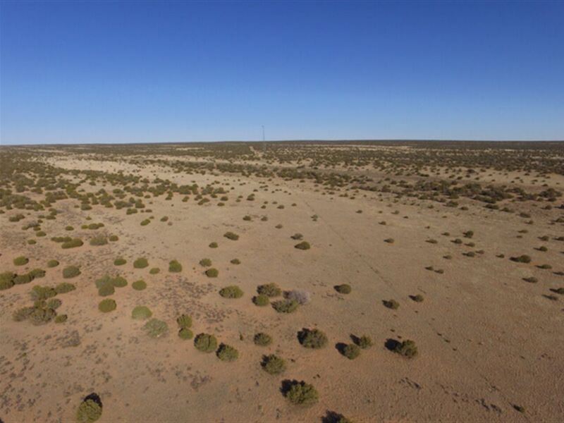 1.25 Acres for Sale in Saint Johns : Saint Johns : Apache County : Arizona