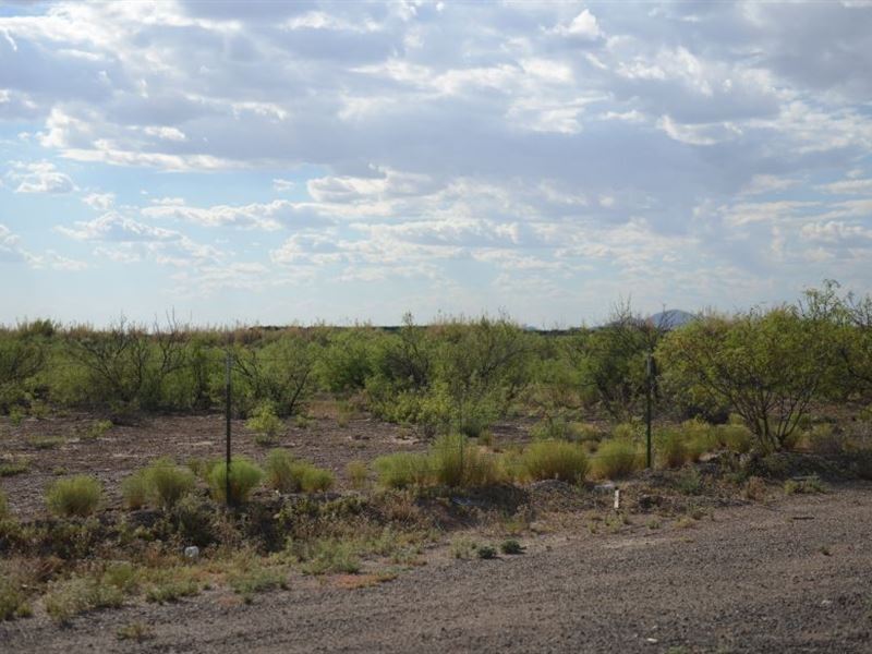 .5 Acre for Sale in Deming, NM : Deming : Luna County : New Mexico