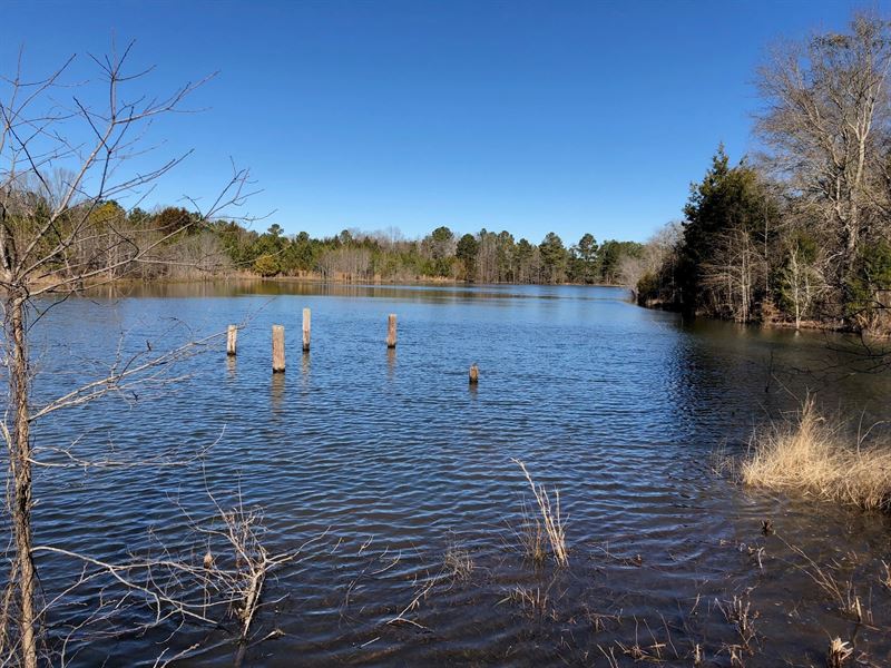 Reynolds Tract : Edgefield : Edgefield County : South Carolina