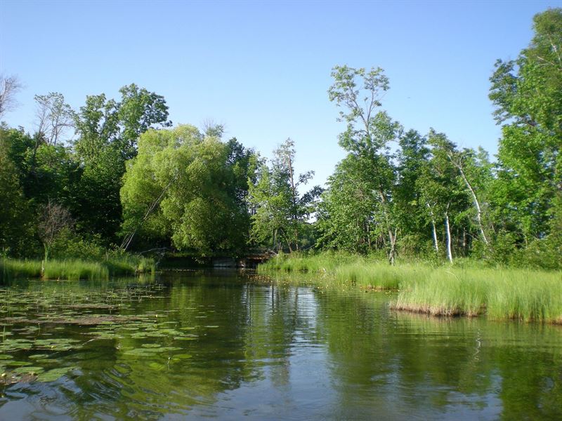 Baby Lake Lot Hackensack Minnesota Land for Sale by Owner in Woodrow