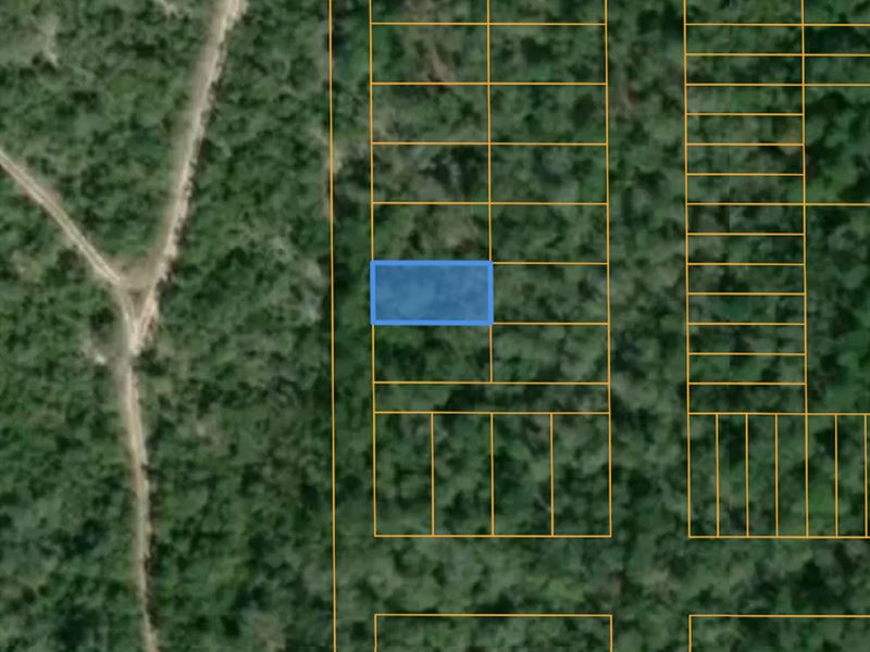 .11 Acres Near Shoal River : Crestview : Okaloosa County : Florida