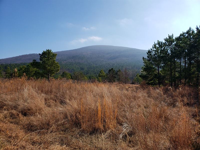 Timber Investment Hunting Property : Poteau : Le Flore County : Oklahoma