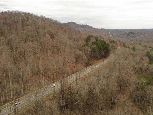 Wooded with Hwy Frontage : Travelers Rest : Greenville County : South Carolina