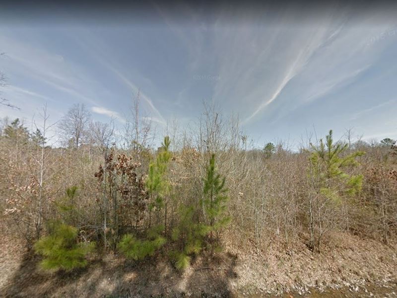 .11 Acre for Sale in Pine Bluff : Pine Bluff : Jefferson County : Arkansas