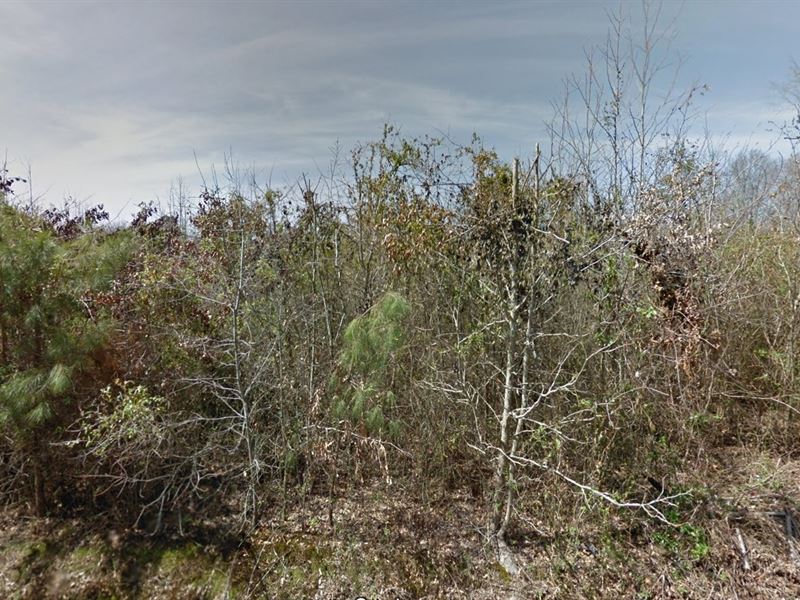 .11 Acre for Sale in Pine Bluff : Pine Bluff : Jefferson County : Arkansas