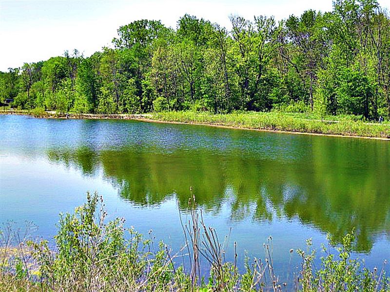 Comstock Park Beautiful Wooded : Plainfield Township : Kent County : Michigan