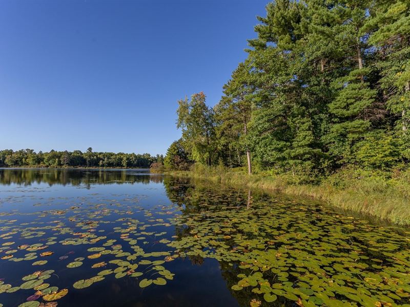 Lakefront Double Lot Barrow Lake Land for Sale by Owner in Woodrow