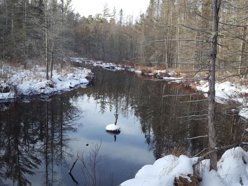 Minocqua Acreage : Minocqua : Oneida County : Wisconsin