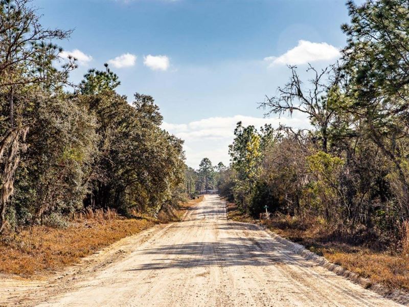 1.25 Acres in Williston, FL : Williston : Levy County : Florida