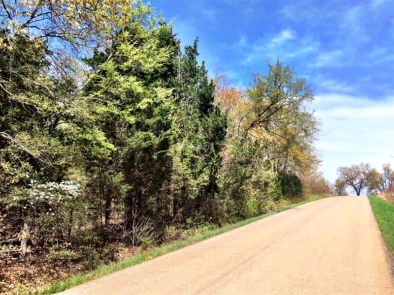 Land for Sale in Pocahontas, AR : Pocahontas : Randolph County : Arkansas