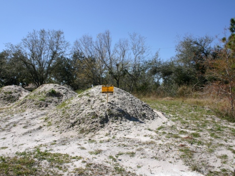 1/3 Ac.Cleared and Filled : Sebastian : Indian River County : Florida