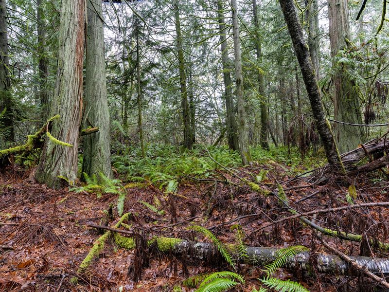 Land for Sale in Poulsbo Washington : Battle Ground : Clark County : Washington