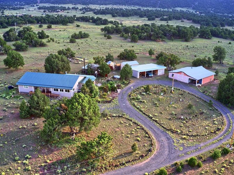 Scenic New Mexico Ranch Land for Sale in Quemado, Catron County, New