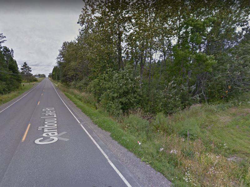 68 Acres for Sale in Washburn : Washburn : Aroostook County : Maine