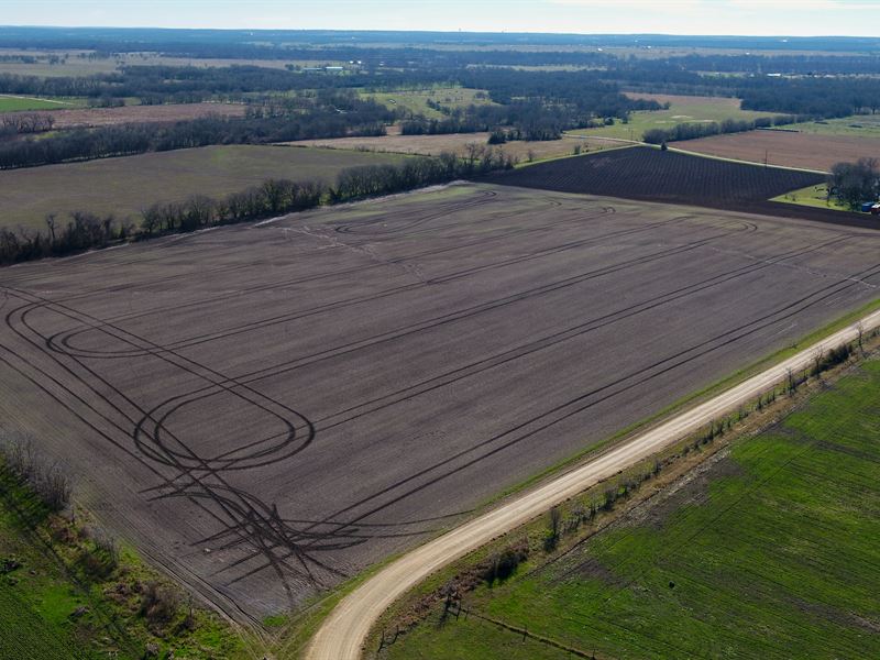 20 Acres in The Country : Rockdale : Milam County : Texas