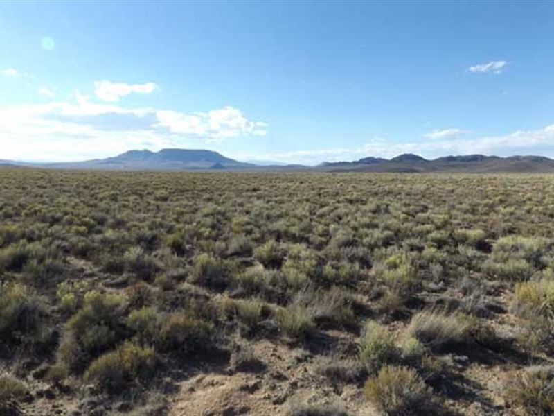 San Luis Valley, Near Rio Grande : San Luis : Costilla County : Colorado