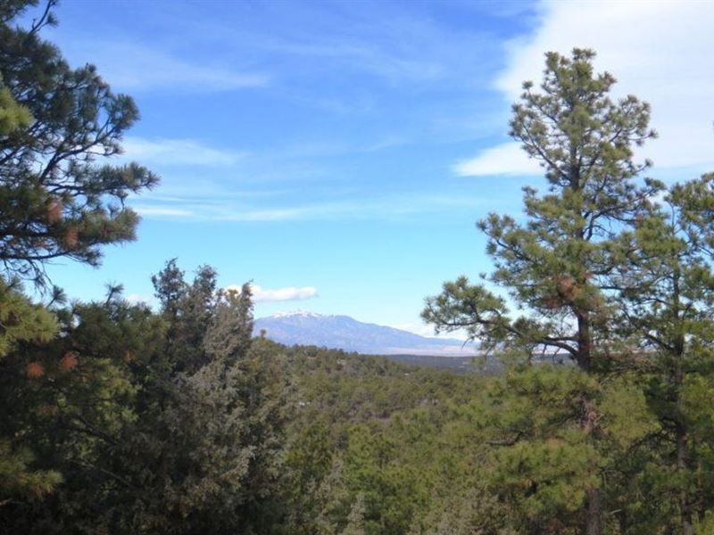 58 Blackhawk Ranch : Walsenburg : Huerfano County : Colorado