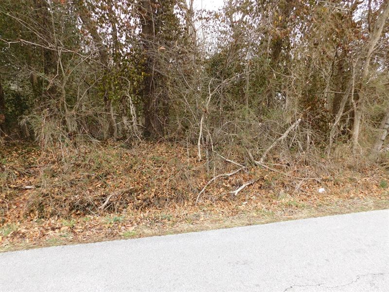 Lot Near Harrison for Sale : Harrison : Boone County : Arkansas