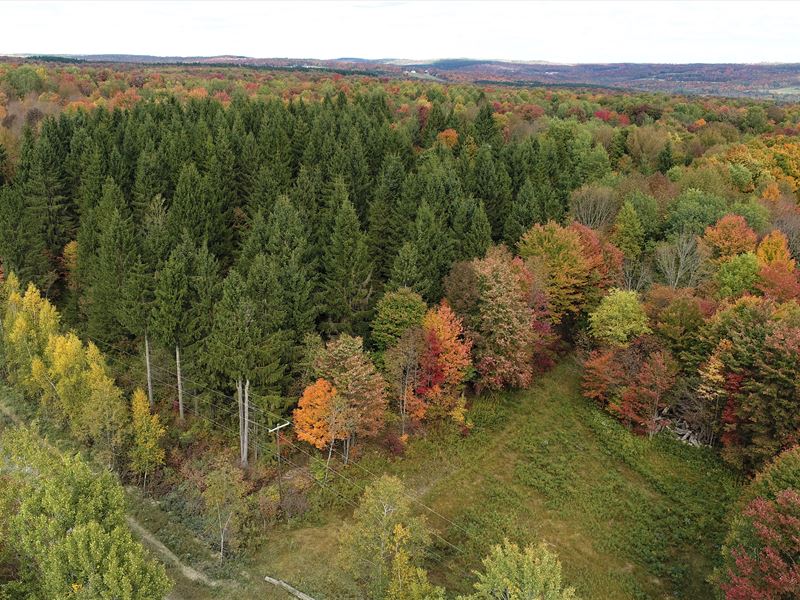 7.2 Acres Mature Trees and Power : McDonough : Chenango County : New York