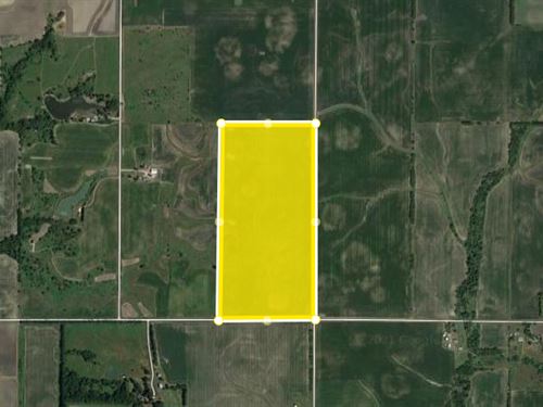 Nice Tillable 80 Acres : Blackstone : Livingston County : Illinois