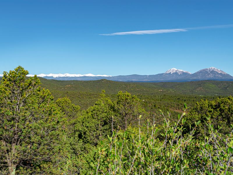 Mountain Views, Road Access w Cabin : Trinidad : Las Animas County : Colorado