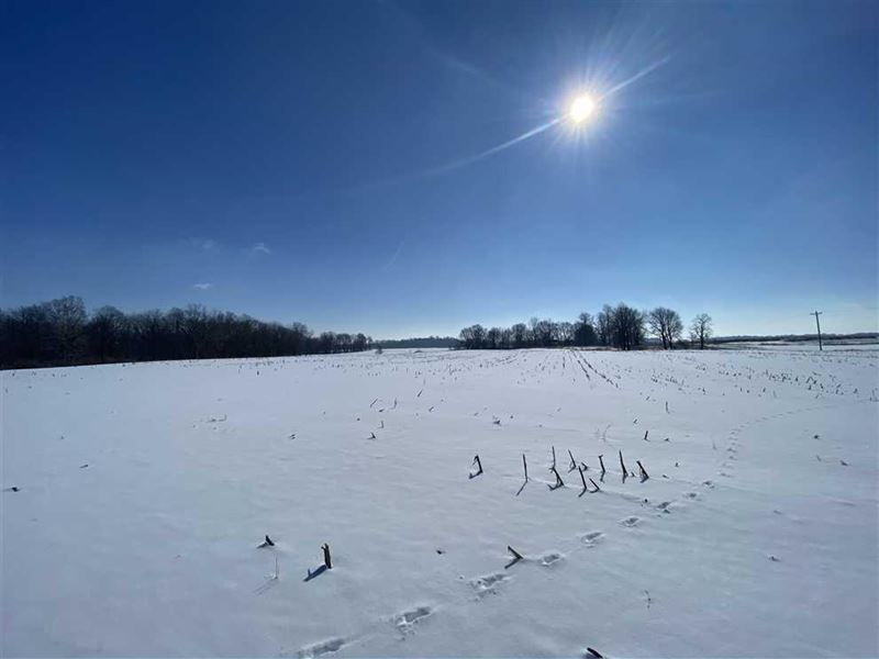 51 Acres / Mentone, IN / Kosciu : Mentone : Kosciusko County : Indiana