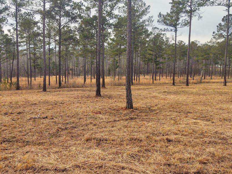 Beautiful Plantation Homesites : Forsyth : Monroe County : Georgia