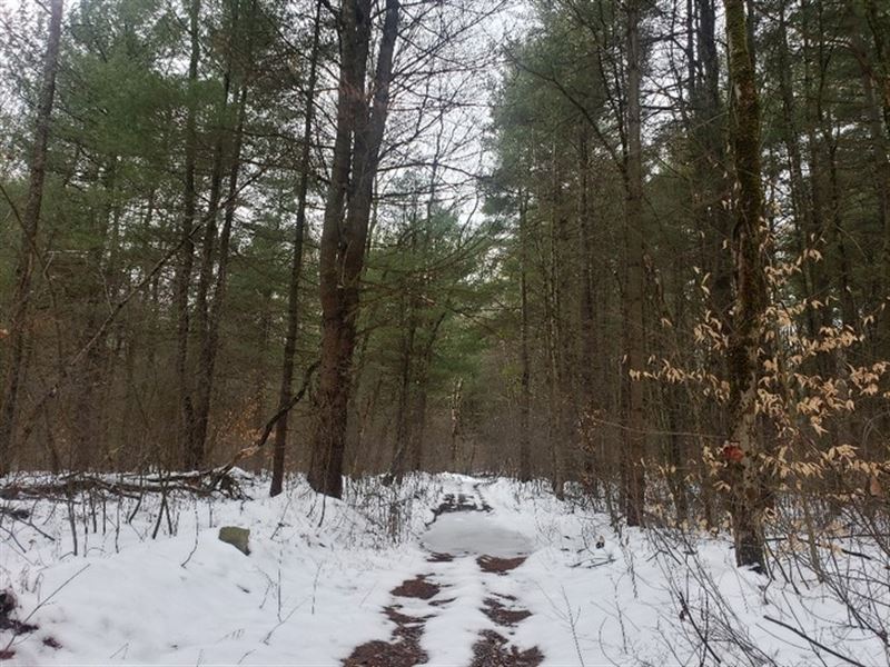 Two Minutes to Salmon River : Albion : Oswego County : New York