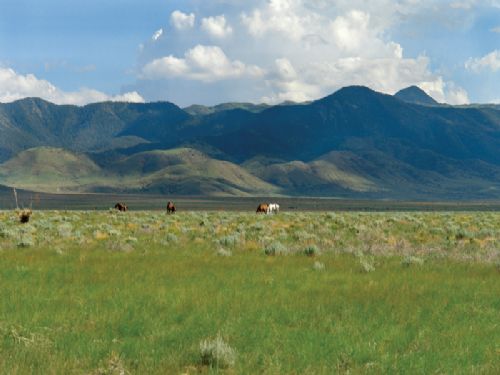5 Acre Mountain Views : Carrizozo : Lincoln County : New Mexico