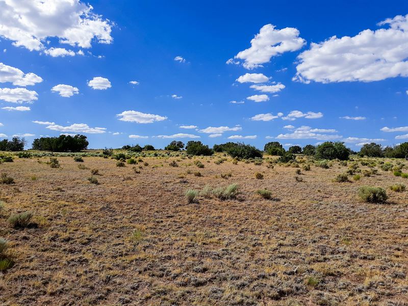 Build The Ultimate Getaway : Saint Johns : Apache County : Arizona