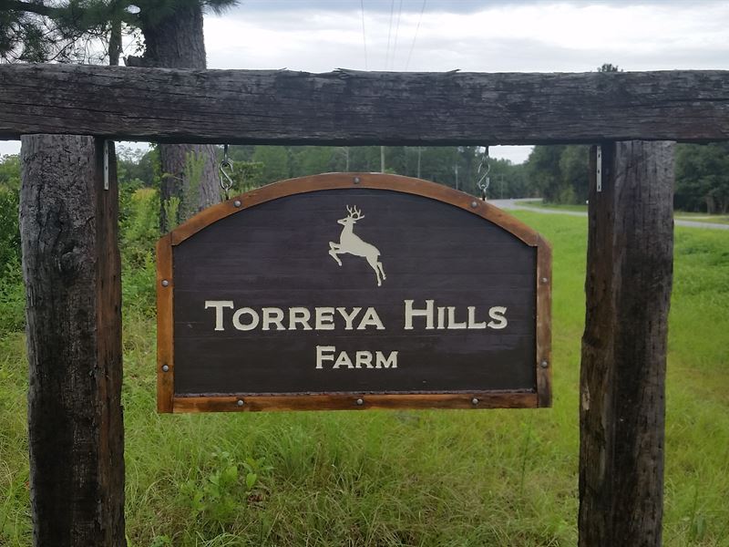 Torreya Hills Farm : Chattahoochee : Gadsden County : Florida