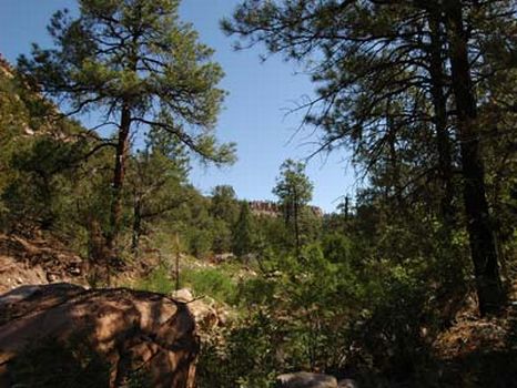 140 Acre Ranches : Wagon Mound : Harding County : New Mexico